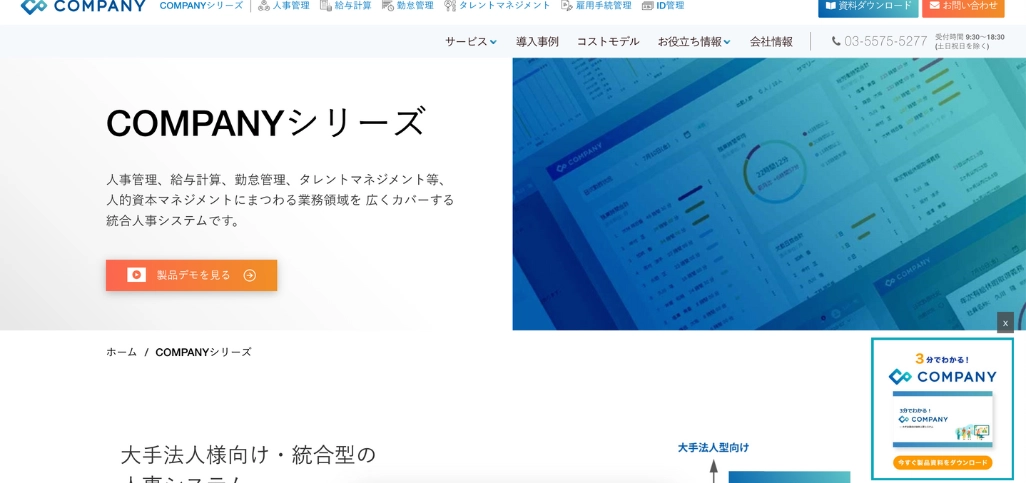 8.COMPANY
